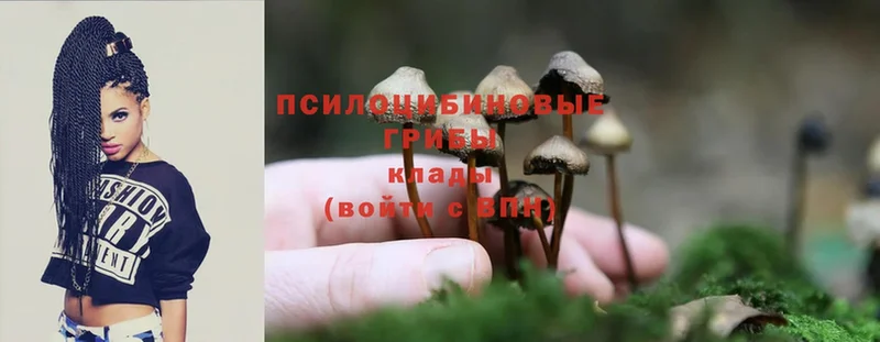 Галлюциногенные грибы MAGIC MUSHROOMS Власиха